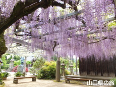 �������̓��I