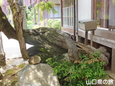 �������̓��I