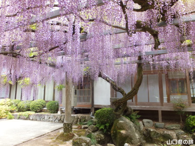 �������̓��I