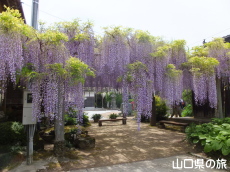 �������̓��I