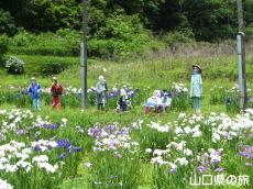 �H�g�����d�̉ԏҊ�