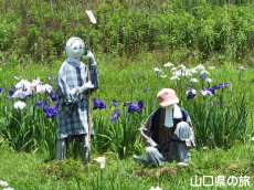 �H�g�����d�̉ԏҊ�