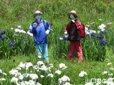 �H�g�����d�̉ԏҊ�