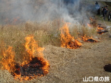 �H�g��R�Ă�