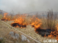 �H�g��R�Ă�