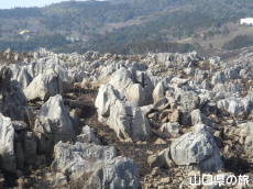 �R�Ă���̏H�g��