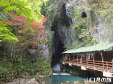 �H�F������