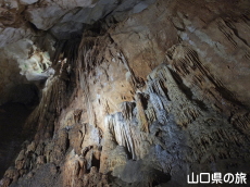 ���炰�̑�̂ڂ�