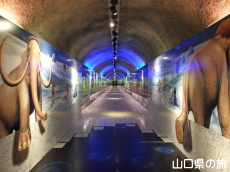 �g���b�N�A�[�g