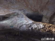 �����x�m