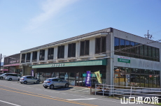 �H�F�ٗN����