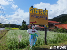 �H�F������n��̂��΂̉�