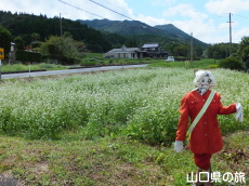 �H�F������n��̂��΂̉�