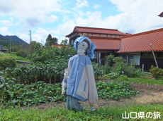 �H�F������n��̂�����