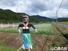 �H�F������n��̂�����