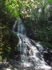 �H�F�����̑�