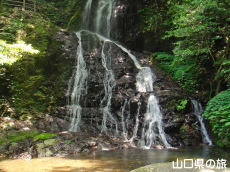 �H�F�����̑�