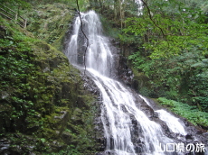 �H�F�����̑�