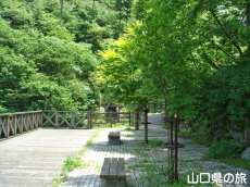 �H�F�����̑�