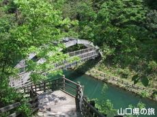 �H�F�����̑�