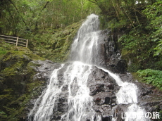 �H�F�����̑�