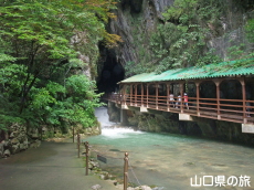 �H�F������