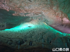 �����x�m