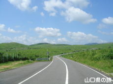 �J���X�g���[�h