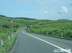 �J���X�g���[�h