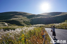 �H�g��̃X�X�L