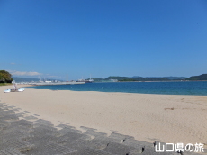 ���c�C�l����