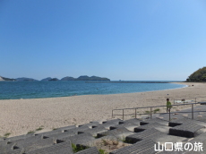 ���c�C�l����