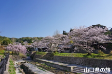 ���U����͐�����̍�