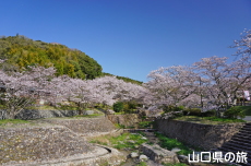 ���U����͐�����̍�