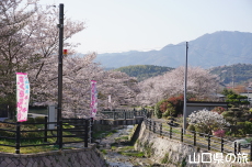 ���U����͐�̍�