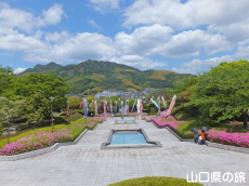 永源山公園のつつじ