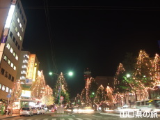 ����~�̃c���[�܂�2008