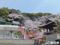 ���ω��̍�