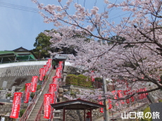 ���ω��̍�