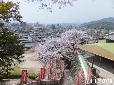 ���ω��̍�