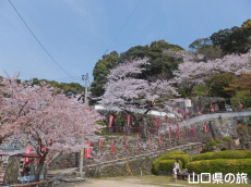 ���ω��̍�