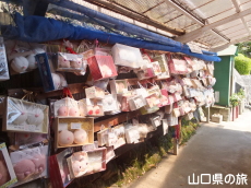 �����ς����[