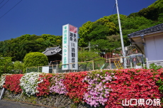 ���ω��̂�