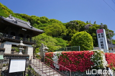 ���ω��̂�