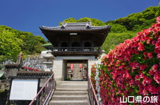 ���ω��̂�