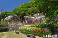 ���ω��̂�