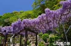 ���ω��̓��I