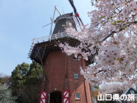 桜とゆめ風車