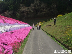 ���̂��̎ō�