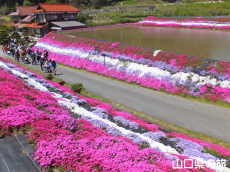 �ō��𗬂̗�